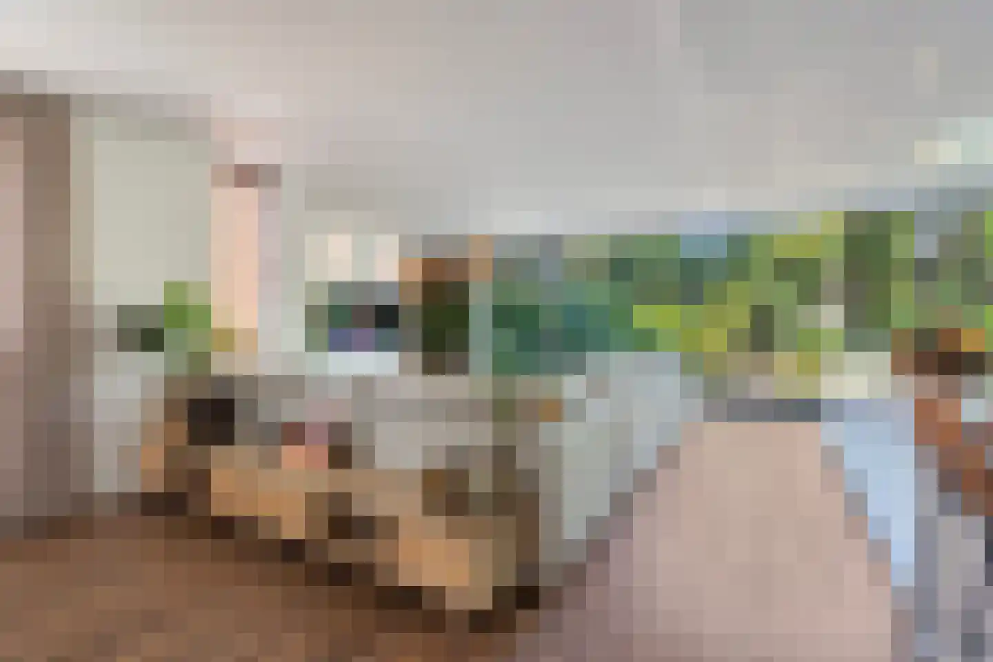 Panovenweg 6 Zevenaar thumbnail 11
