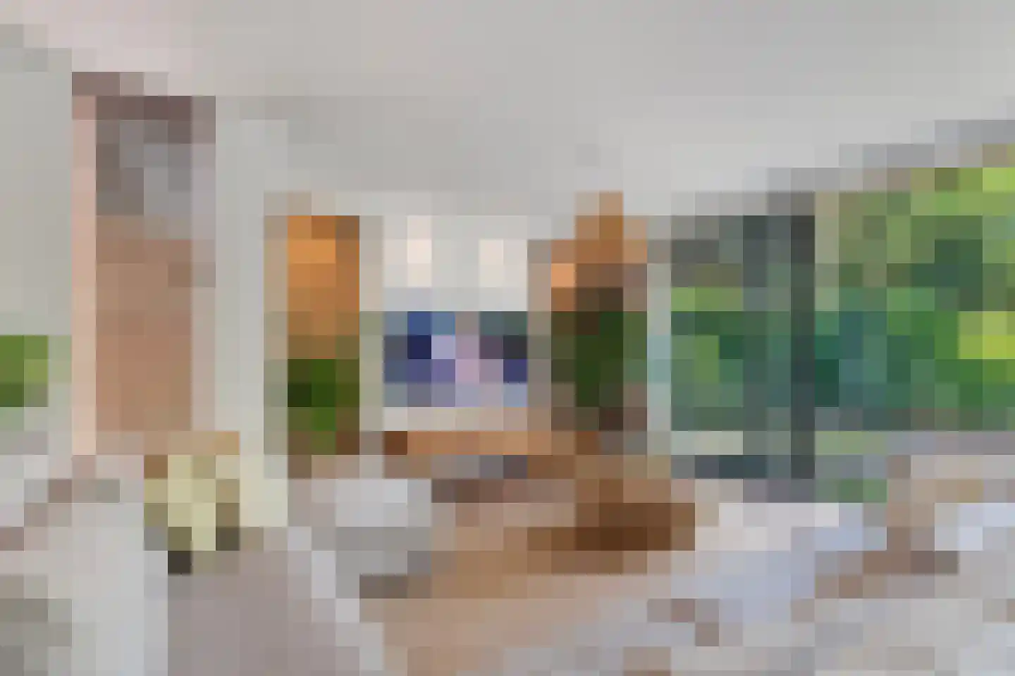 Panovenweg 6 Zevenaar thumbnail 12