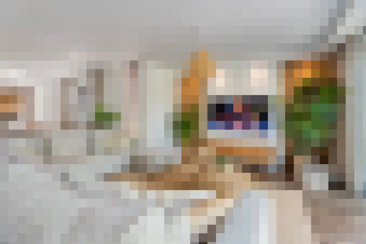 Panovenweg 6 Zevenaar thumbnail 14
