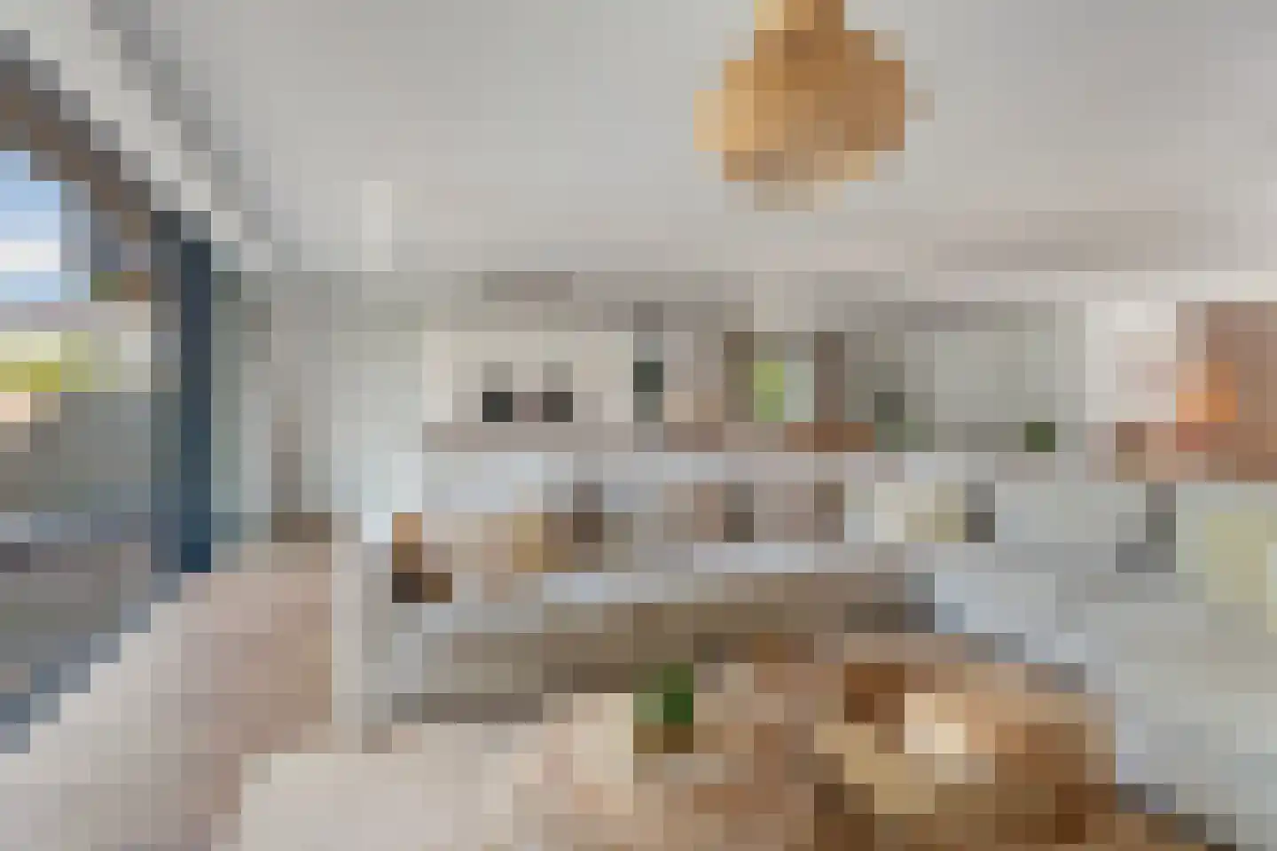 Panovenweg 6 Zevenaar thumbnail 15