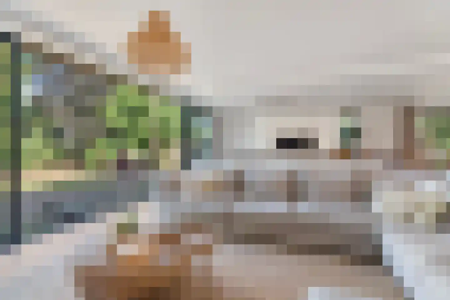 Panovenweg 6 Zevenaar thumbnail 16