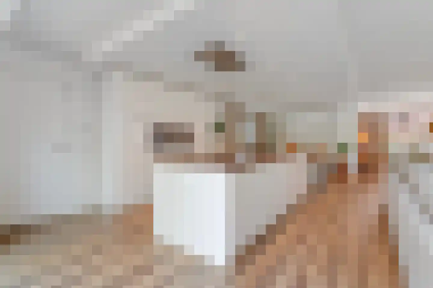Panovenweg 6 Zevenaar thumbnail 19