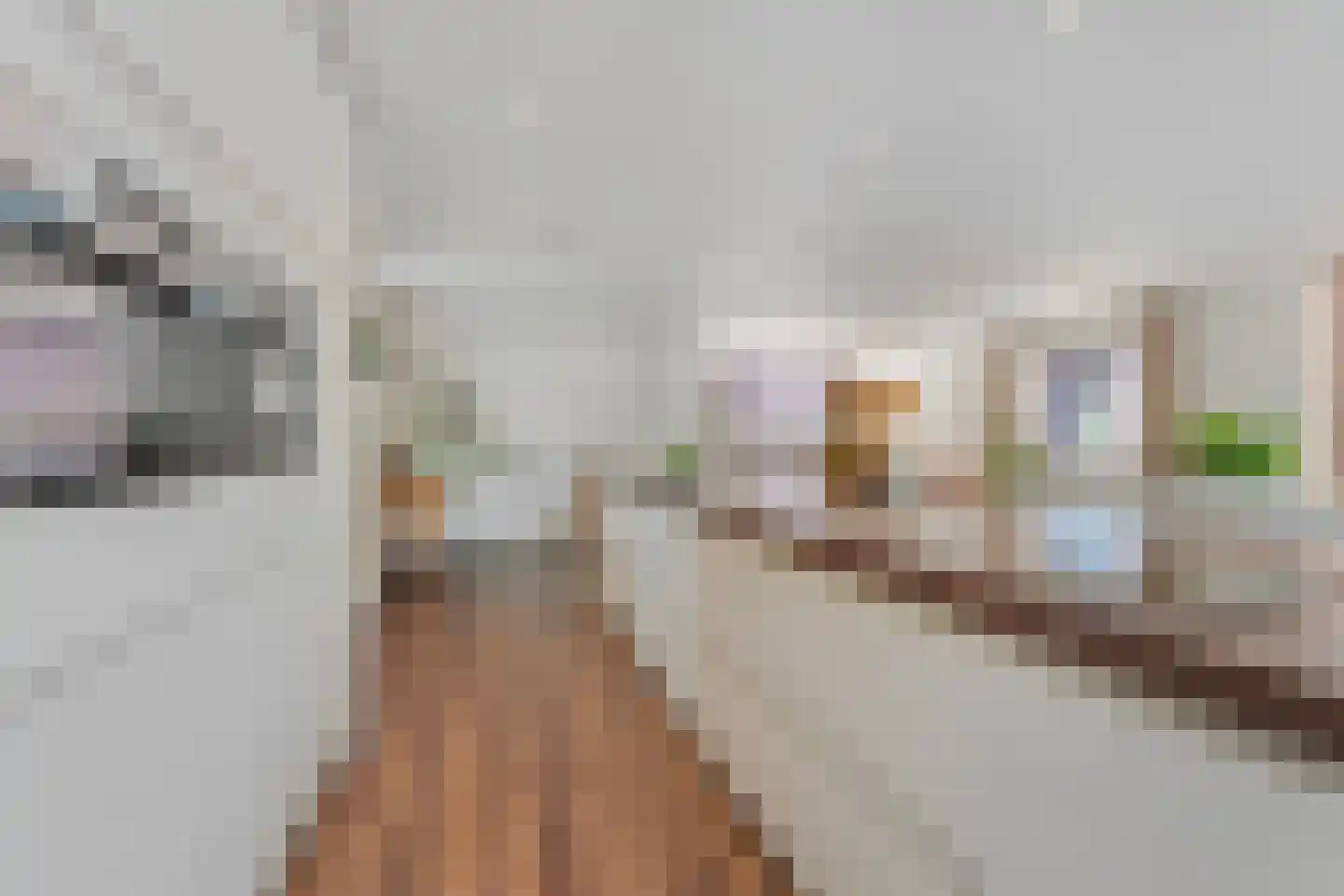 Panovenweg 6 Zevenaar thumbnail 20