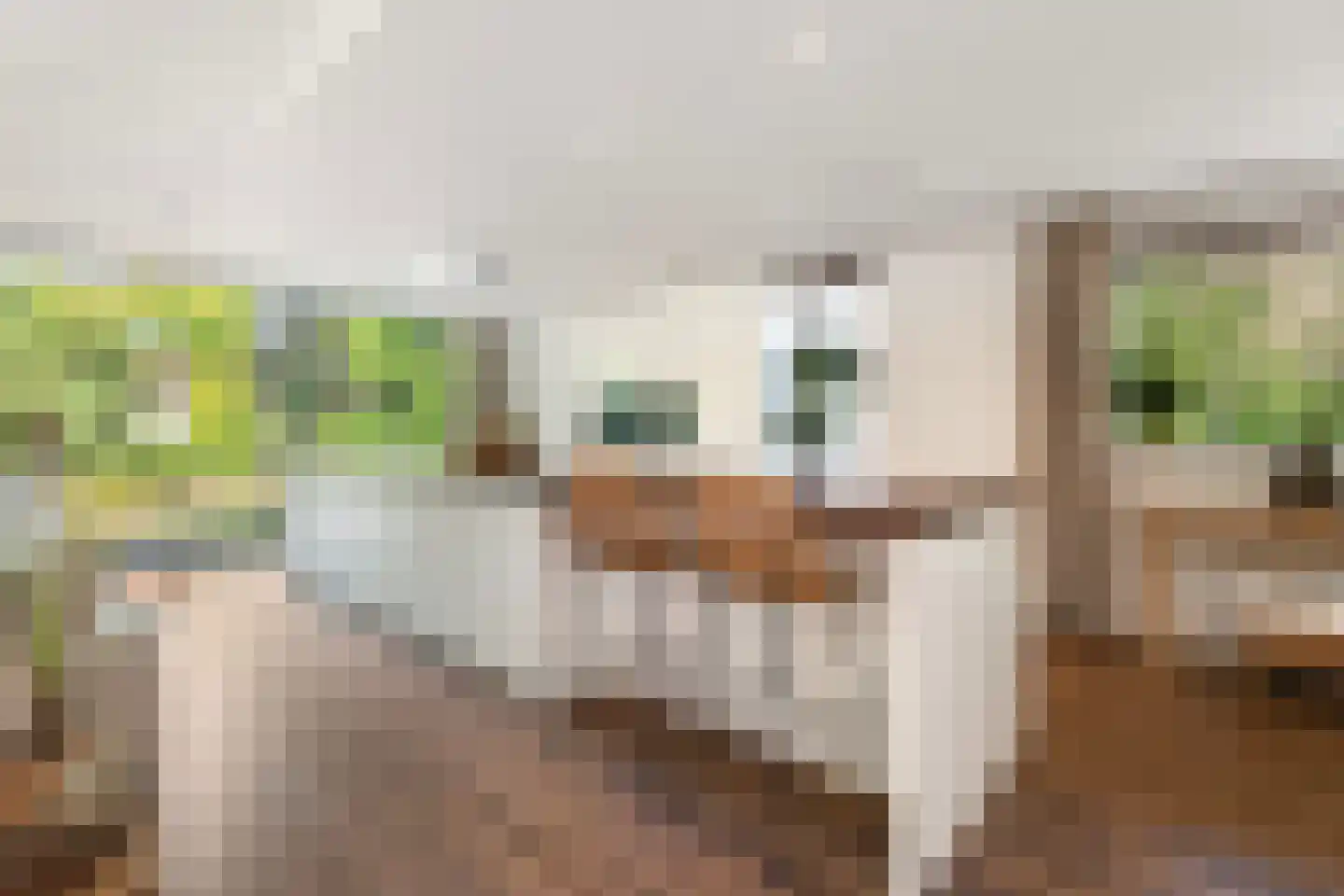 Panovenweg 6 Zevenaar thumbnail 22