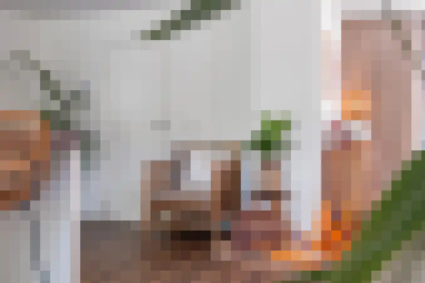 Panovenweg 6 Zevenaar thumbnail 25