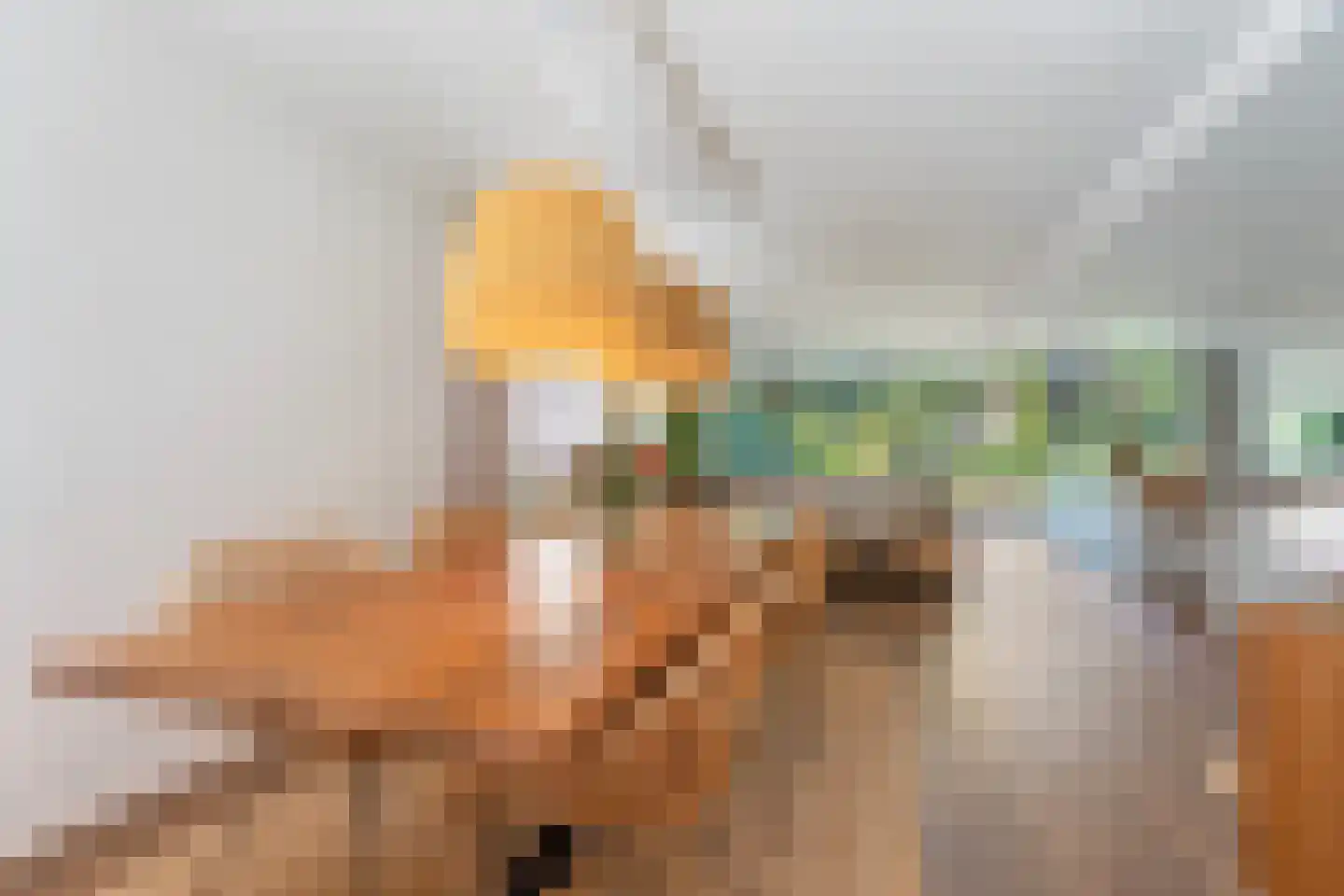 Panovenweg 6 Zevenaar thumbnail 28