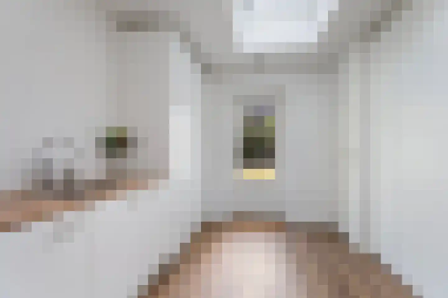 Panovenweg 6 Zevenaar thumbnail 30