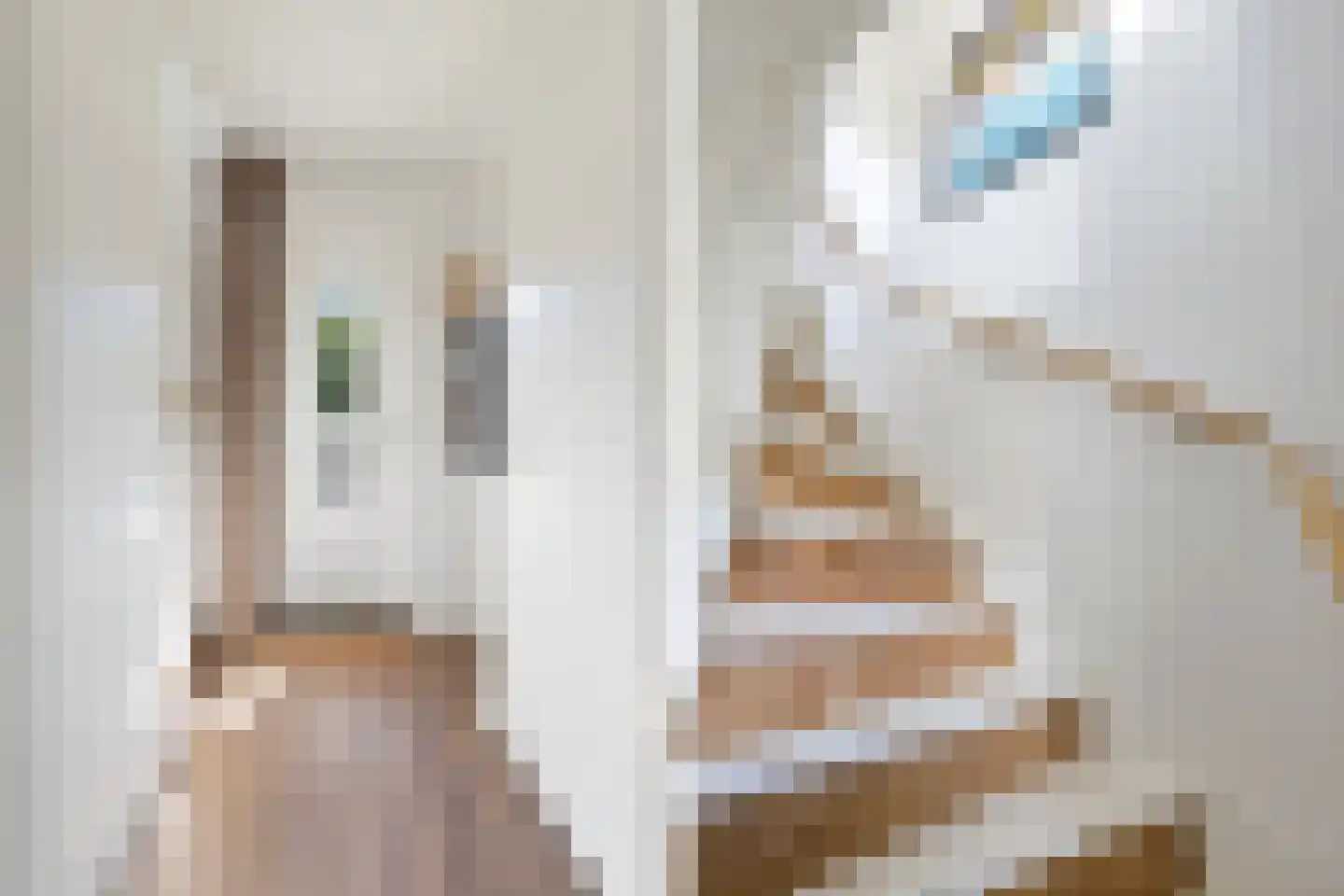 Panovenweg 6 Zevenaar thumbnail 32