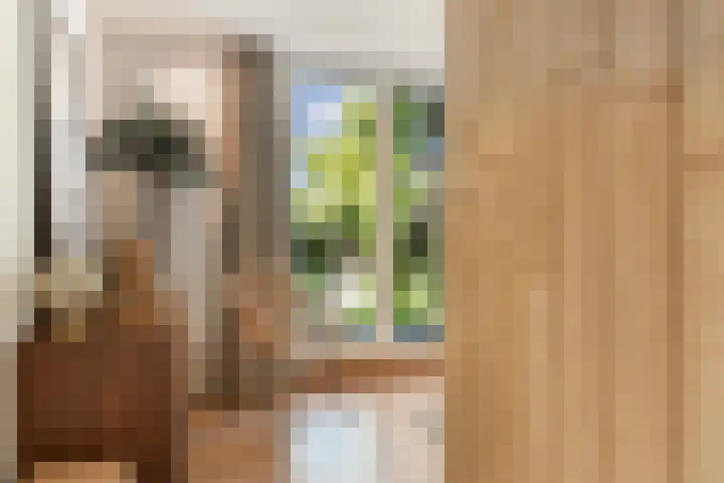Panovenweg 6 Zevenaar thumbnail 36