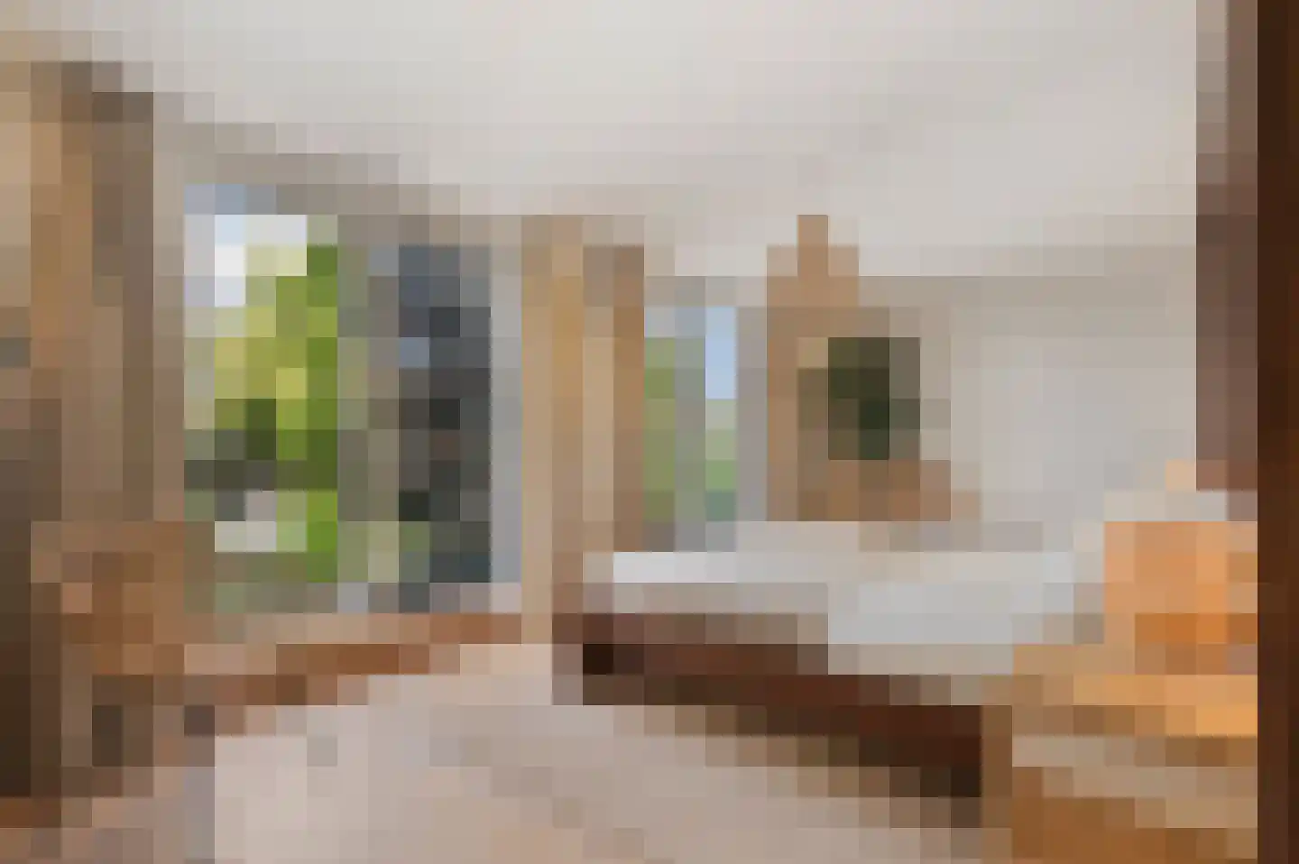 Panovenweg 6 Zevenaar thumbnail 37