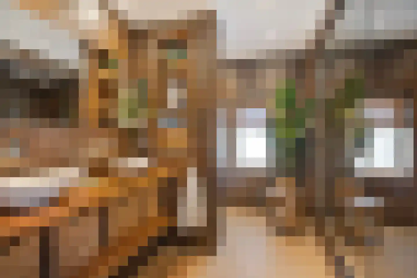 Panovenweg 6 Zevenaar thumbnail 4