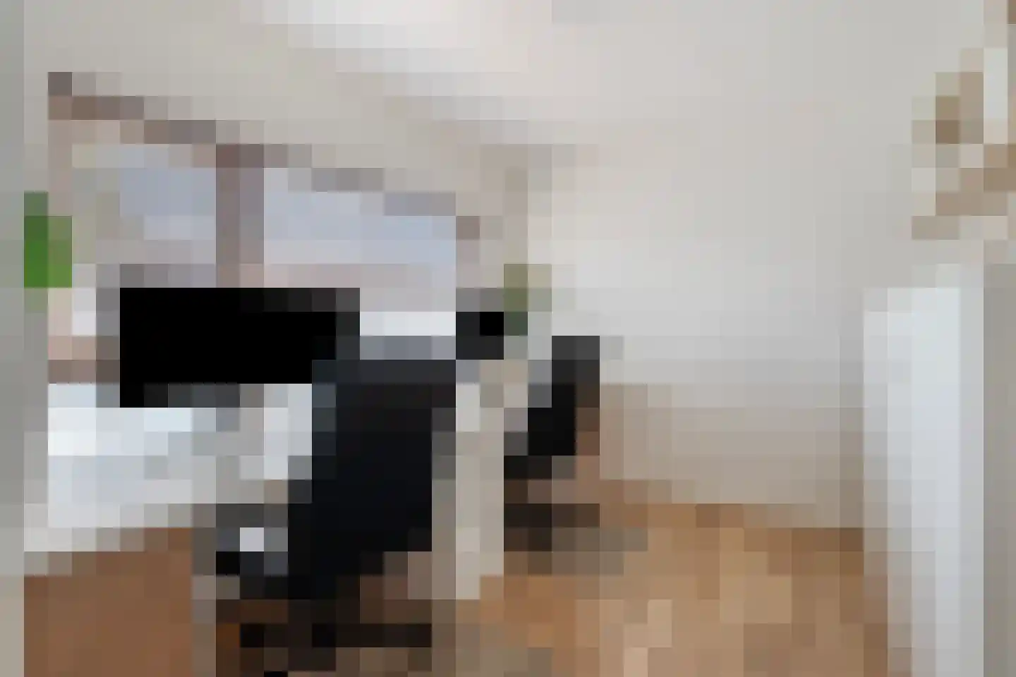 Panovenweg 6 Zevenaar thumbnail 46