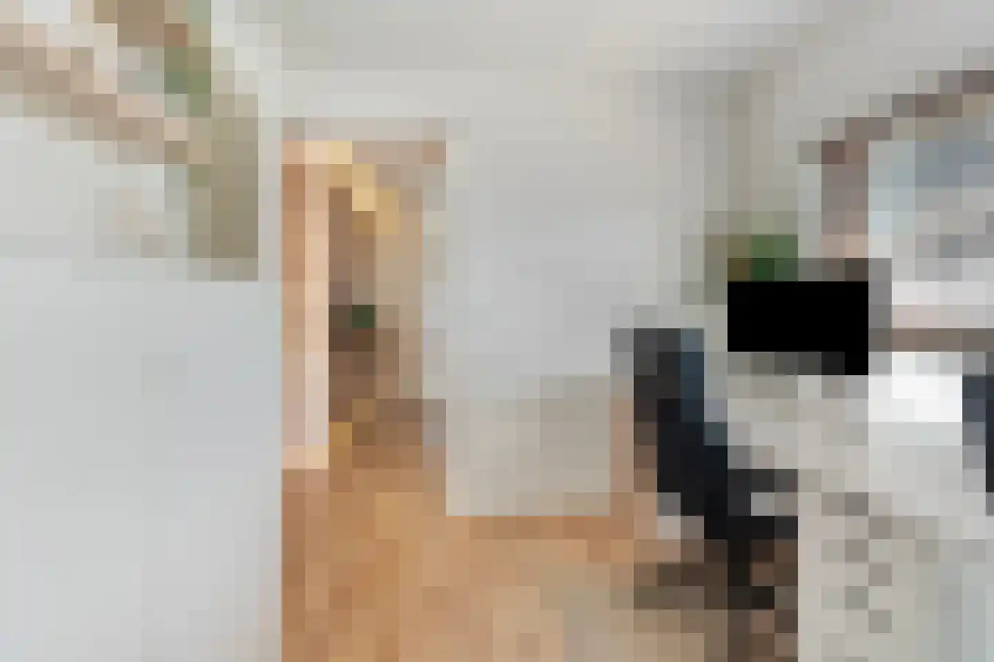 Panovenweg 6 Zevenaar thumbnail 47
