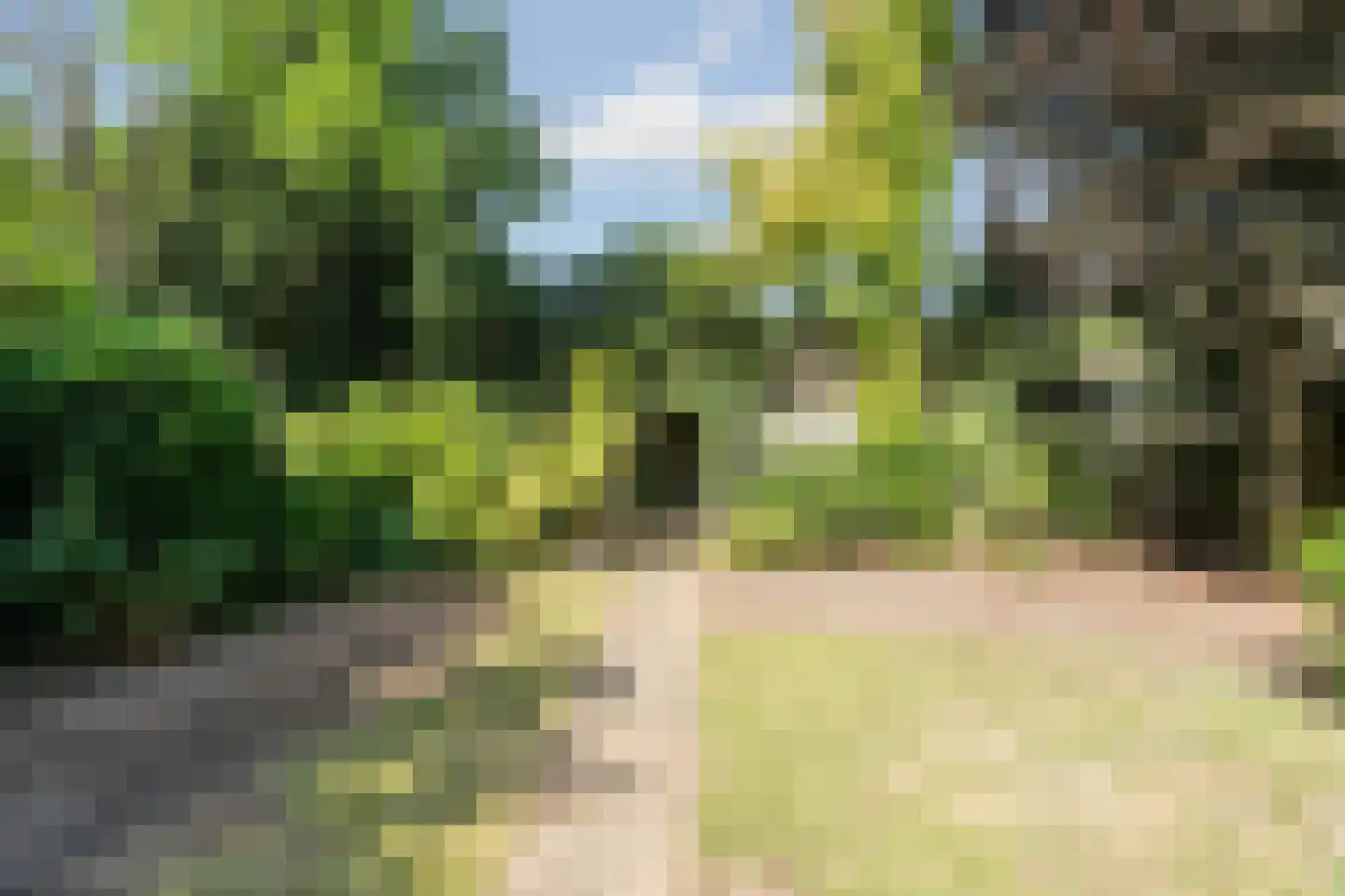 Panovenweg 6 Zevenaar thumbnail 52