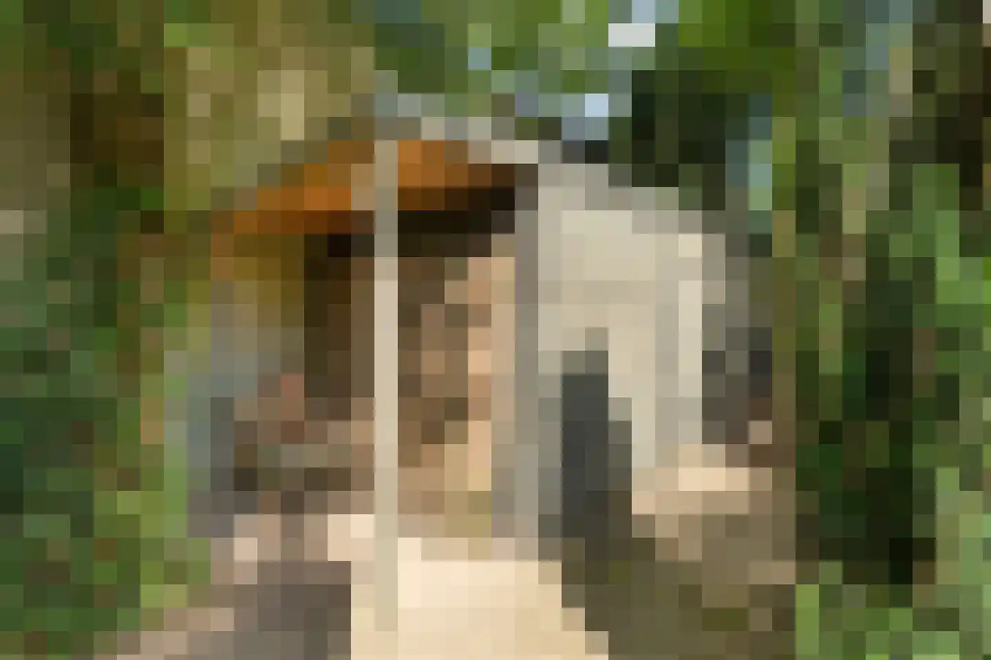 Panovenweg 6 Zevenaar thumbnail 57