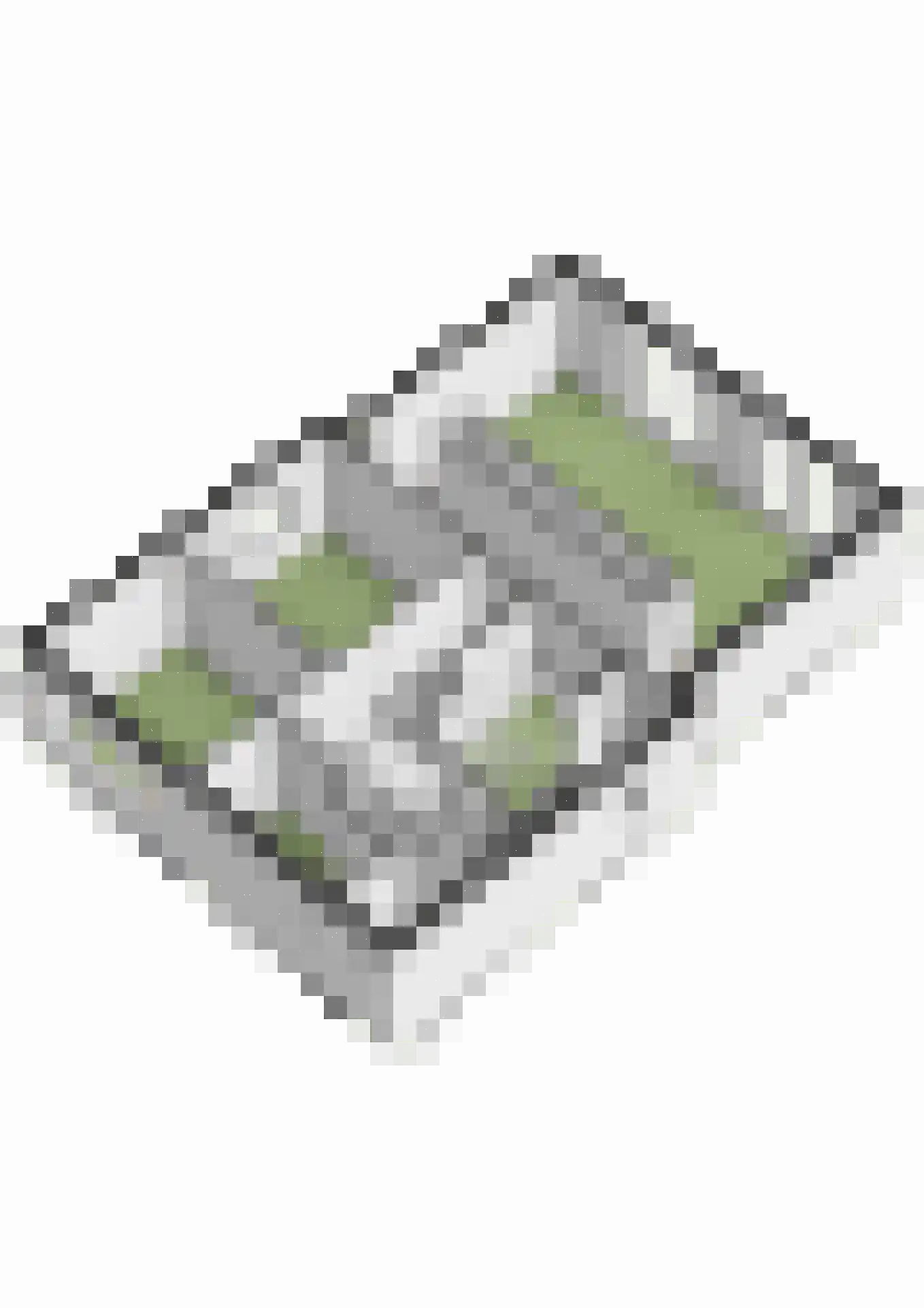 Panovenweg 6 Zevenaar thumbnail 64