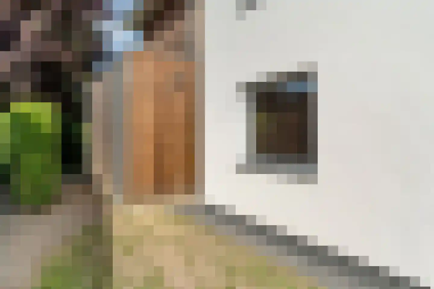 Panovenweg 6 Zevenaar thumbnail 7