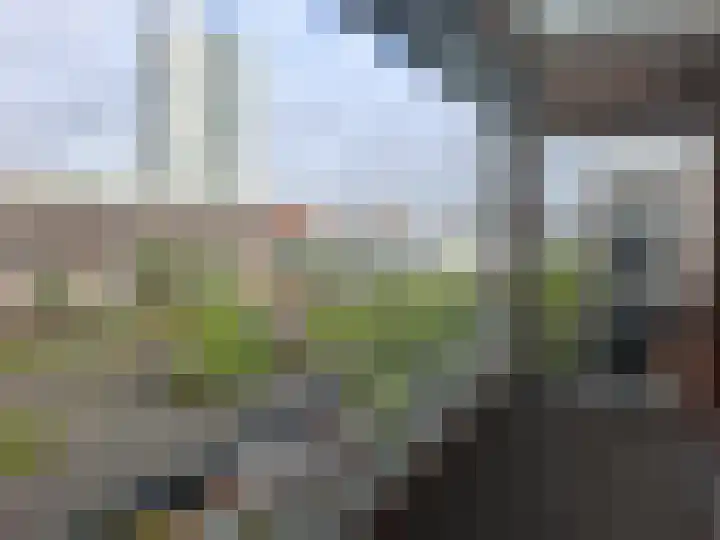 Pantelleriapad 131 Rotterdam thumbnail 12