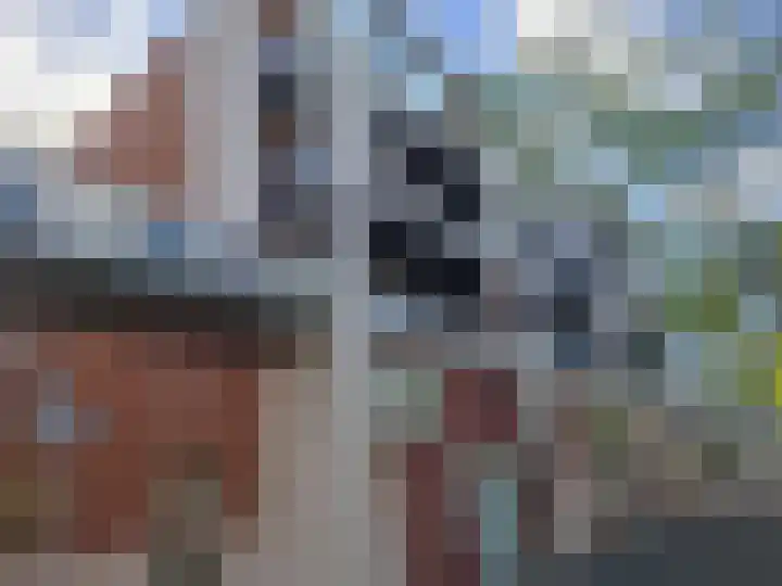 Pantelleriapad 131 Rotterdam thumbnail 13