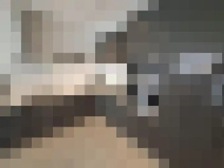Pantelleriapad 36 Rotterdam thumbnail 12