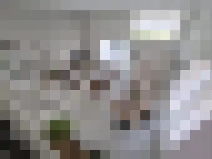 Pantelleriapad 36 Rotterdam thumbnail 15