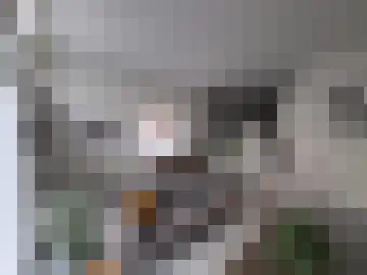 Pantelleriapad 36 Rotterdam thumbnail 20
