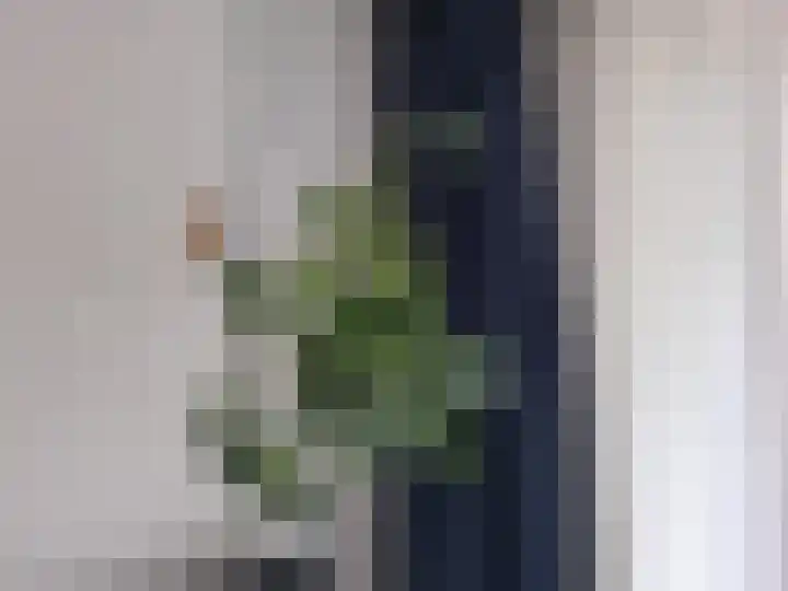 Pantelleriapad 36 Rotterdam thumbnail 6