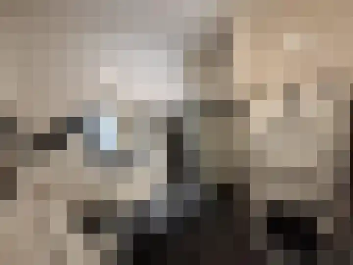 Pantelleriapad 36 Rotterdam thumbnail 8