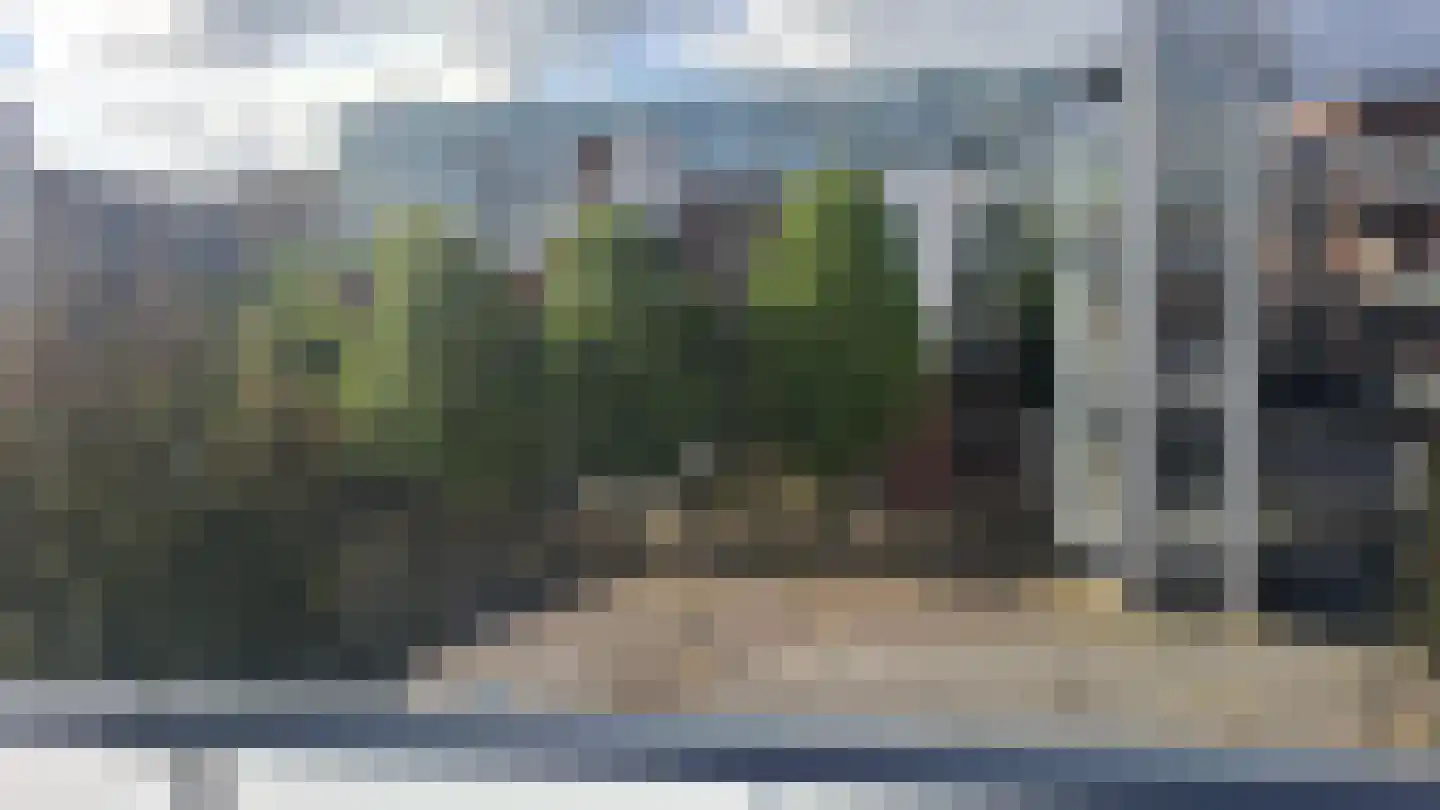 Pantelleriapad 75 Rotterdam thumbnail 20