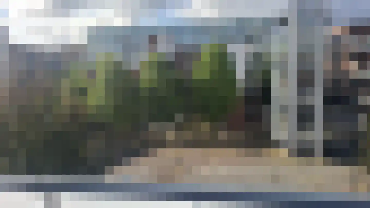 Pantelleriapad 75 Rotterdam thumbnail 20