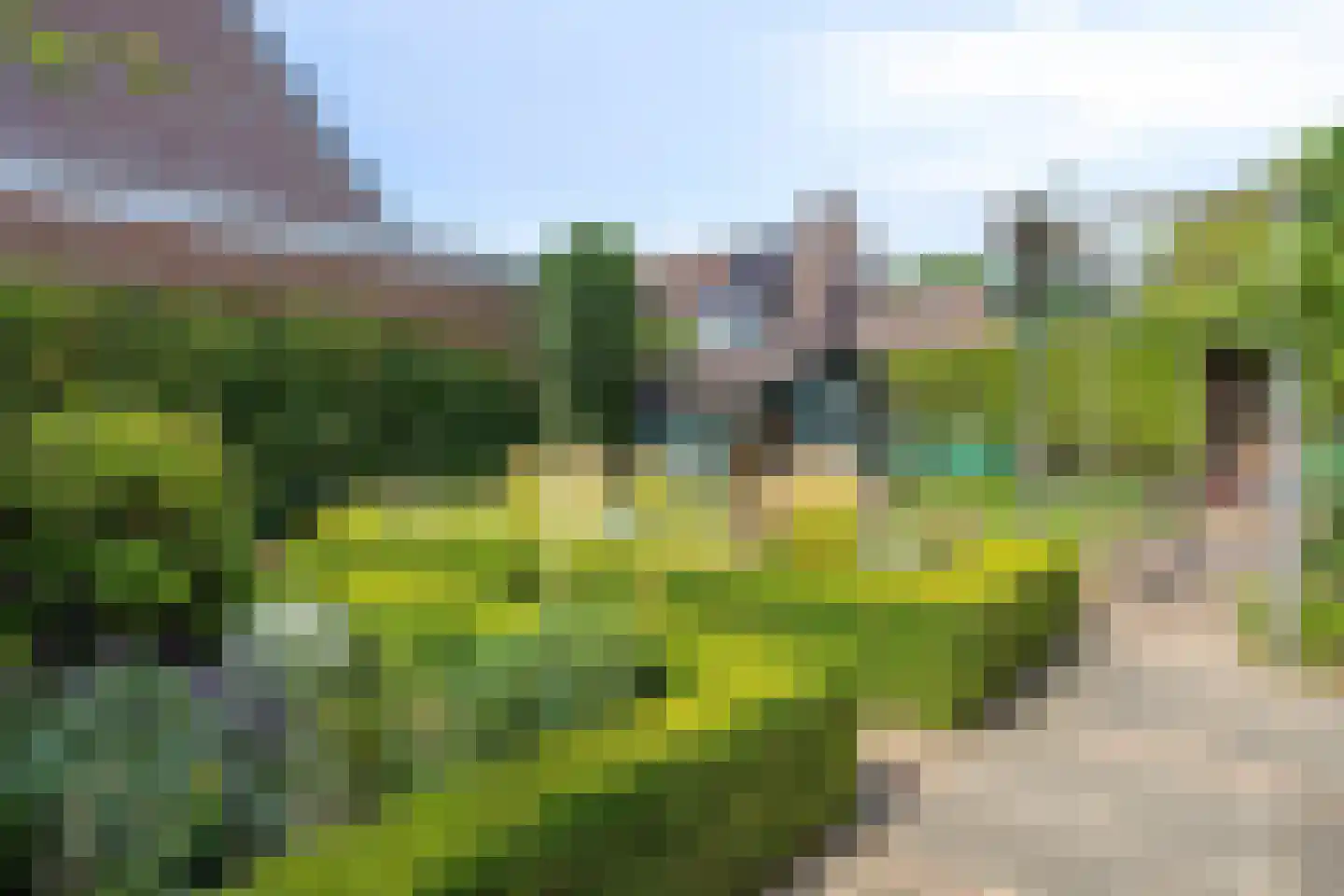 Panterpad 2 Veenendaal thumbnail 42