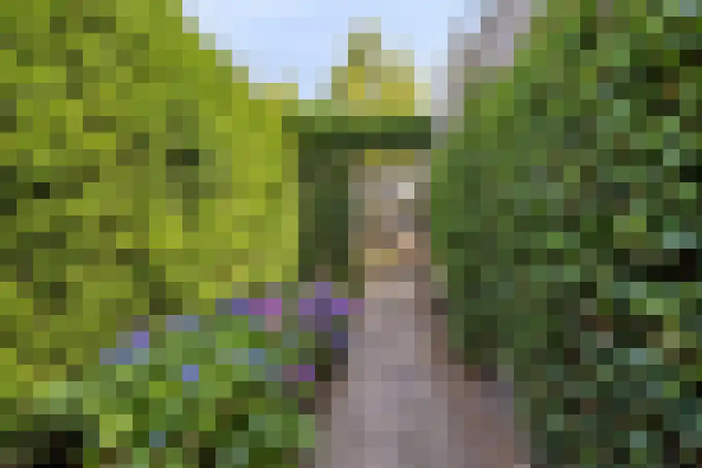 Panterpad 2 Veenendaal thumbnail 43