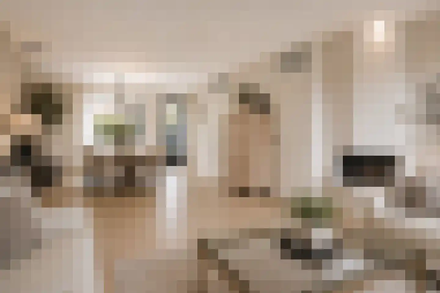 Panterpad 2 Veenendaal thumbnail 5