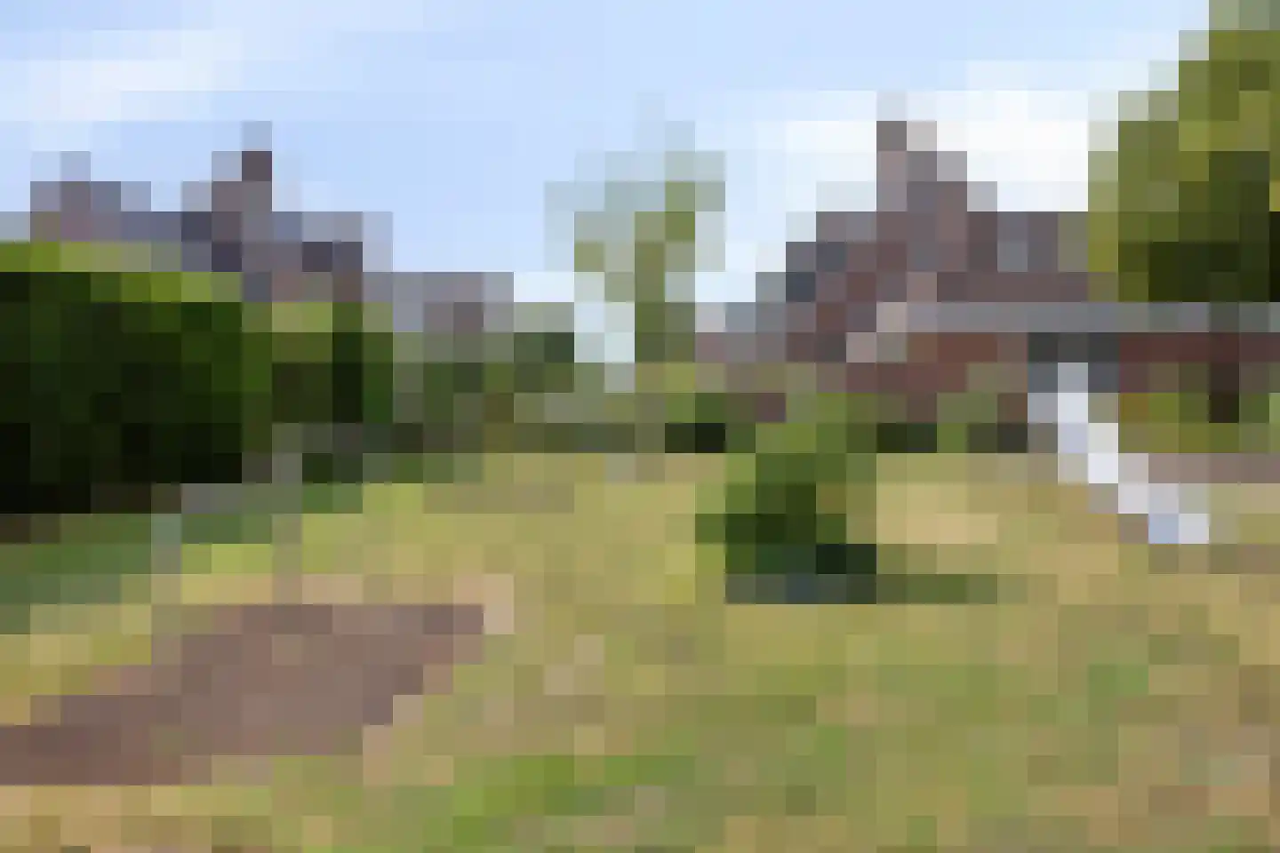Panterpad 2 Veenendaal thumbnail 50