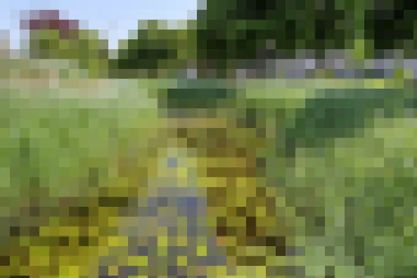 Panterpad 2 Veenendaal thumbnail 51