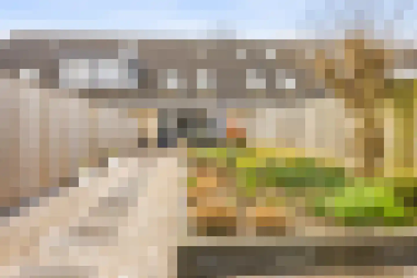 Panterweg 30 Almere thumbnail 31