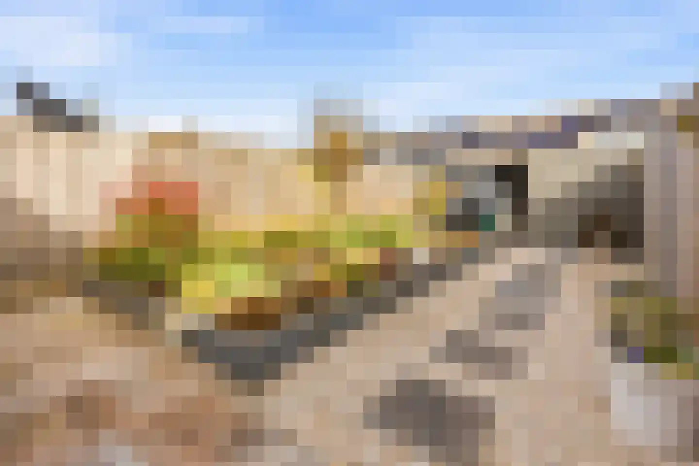 Panterweg 30 Almere thumbnail 5