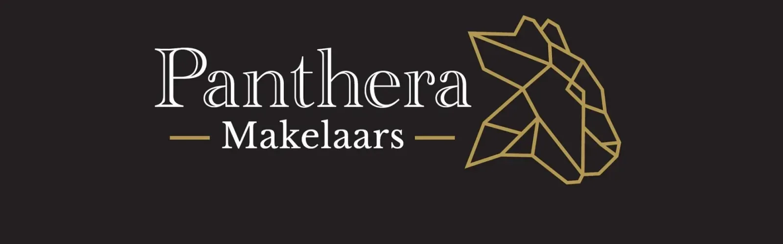 Team photo of Panthera Makelaars