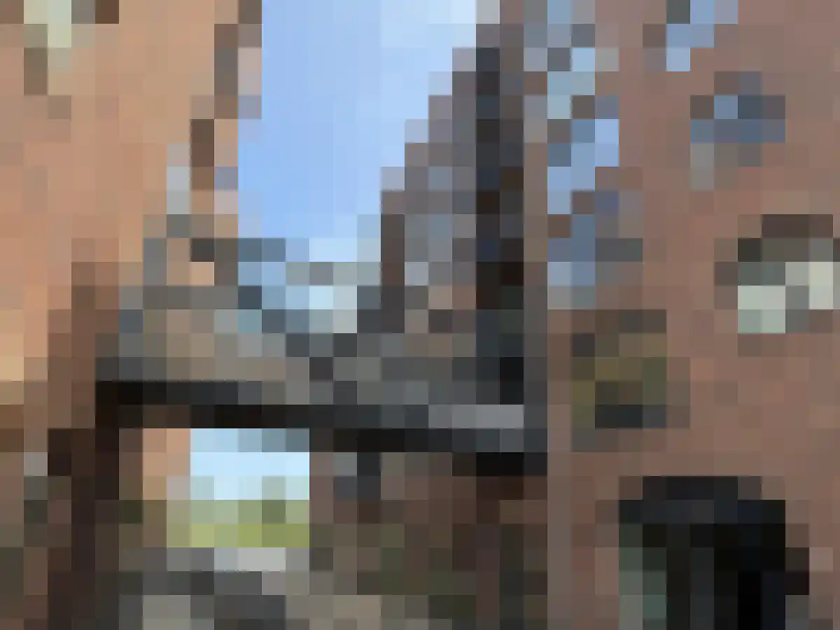 Pantograafstraat 26 Amsterdam thumbnail 6