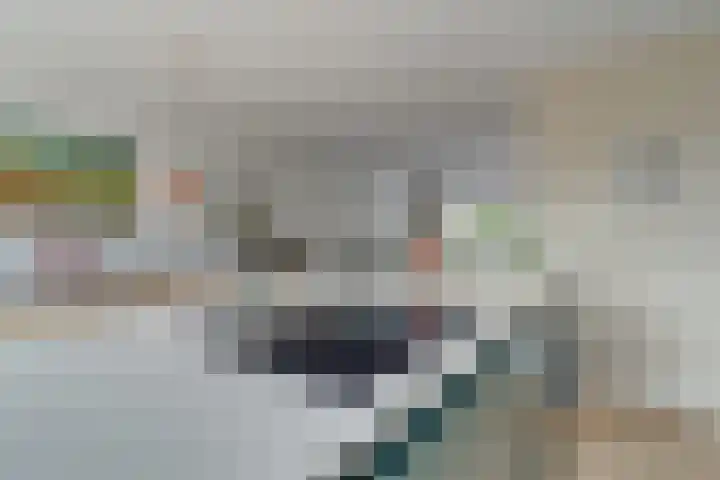 Panweg 23 Zeist thumbnail 20