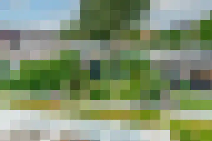 Panweg 23 Zeist thumbnail 32