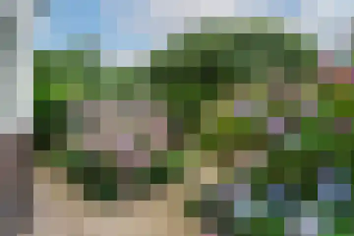 Panweg 23 Zeist thumbnail 4