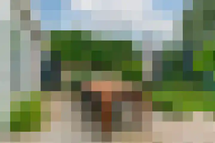 Panweg 23 Zeist thumbnail 48