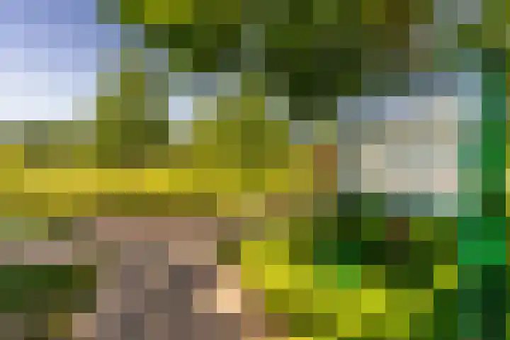 Panweg 23 Zeist thumbnail 52