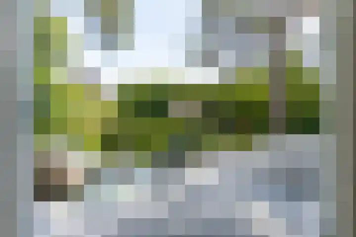 Panweg 56 Zeist thumbnail 52