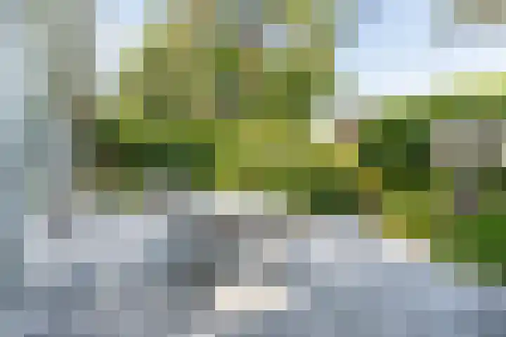 Panweg 56 Zeist thumbnail 53