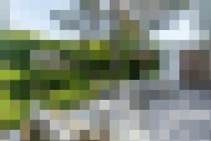 Panweg 56 Zeist thumbnail 54