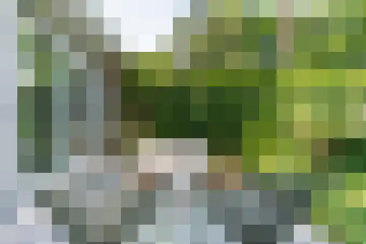 Panweg 56 Zeist thumbnail 55