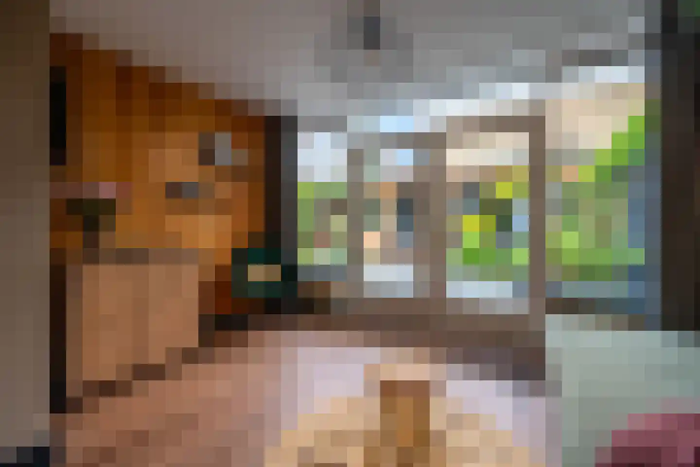 Panweg 57 Zeist thumbnail 13