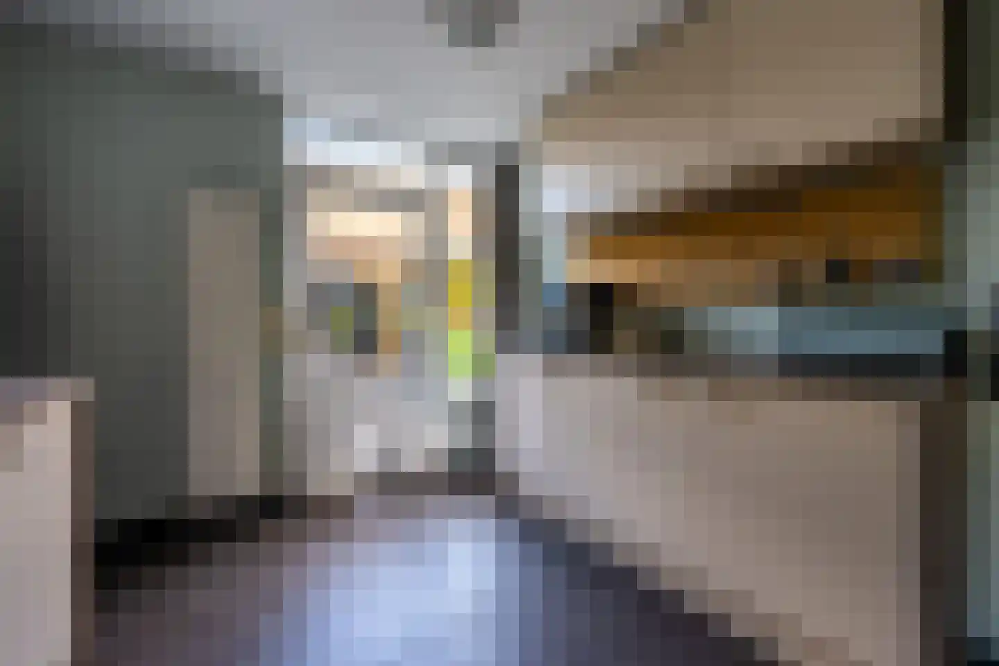 Panweg 57 Zeist thumbnail 20